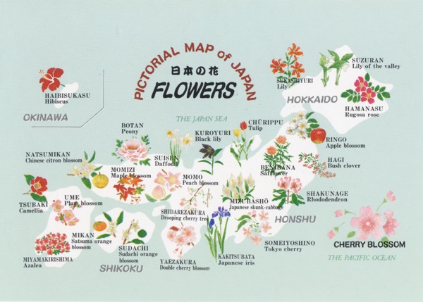 Japan map  Japanese flowers